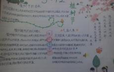 我眼中的风雨人生