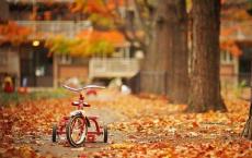 济南的冬天赏析