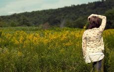 愉快的旅行作文