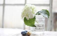 保险公司述职报告