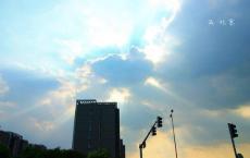 瓦尔登湖读后感