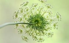 工程部工作计划