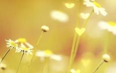 世界读书日活动方案