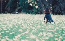 我最喜欢的人物形象