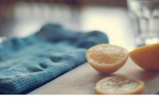 梅花的品质和精神