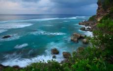 变形记作文变成一条鱼