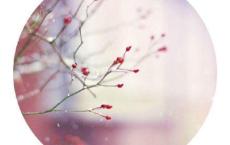 二十四孝读后感