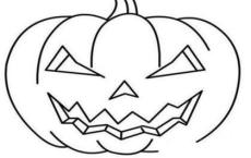 人为什么活着读后感