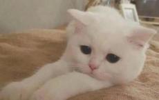 鲁滨逊漂流记读后感