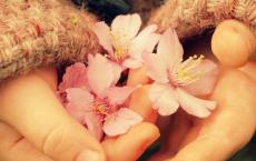 信息技术教师述职报告