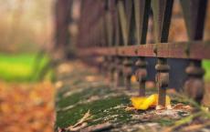 短篇小说：无名的来信