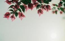 幼儿园六一儿童节活动方案