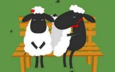 护士长述职报告