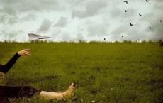 美育教育观后感