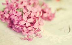 热血教师观后感