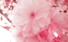 悬梁刺股读后感