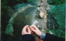 工作作风自查报告