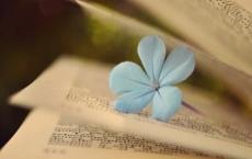 班主任小学生养成教育计划