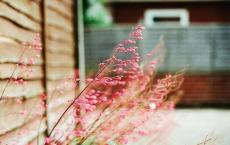 大道之行也教案