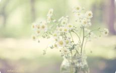 领袖 || 林肯何以被誉为人类所能孕育出来最接近完美的人？