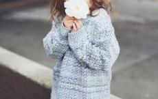 作为生物的社会教案