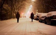 青年志愿者活动方案