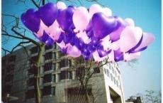 德能勤绩廉述职报告