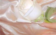 音乐教学工作计划