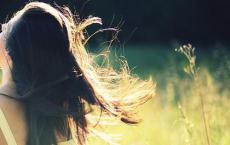 西方哲学史读后感