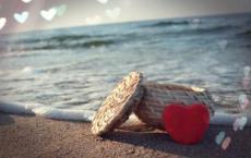 命若琴弦读后感