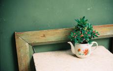 新学期工作计划