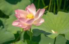 致我们终将逝去的青春观后感