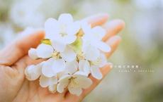 四年级数学质量分析