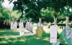 理想的阶梯作文