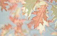 法制教育观后感