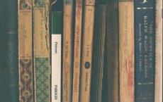 虎兄虎弟观后感