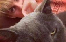 儿童诗两首教学反思