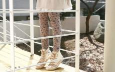 六年级下册语文教学计划