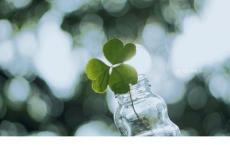 中班下学期工作计划