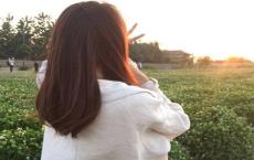 大型会议策划方案