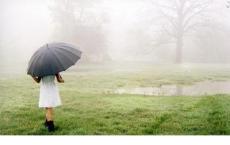 茨威格 | 唯有经过磨难和有阅历的人才会赞赏蒙田的智慧和伟大