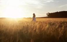 幼儿教师述职报告