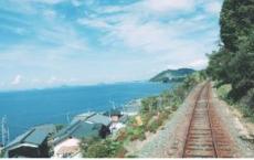 大型活动策划流程