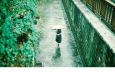 微观世界观后感