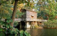 小学教师个人发展规划