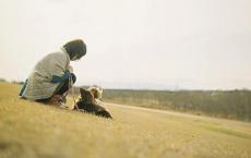 小学英语质量分析