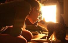 遗愿清单观后感