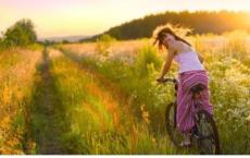 公司的力量观后感