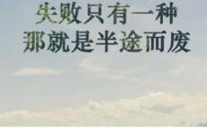 分数的意义教学反思