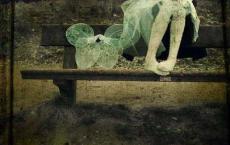 智慧背囊读后感